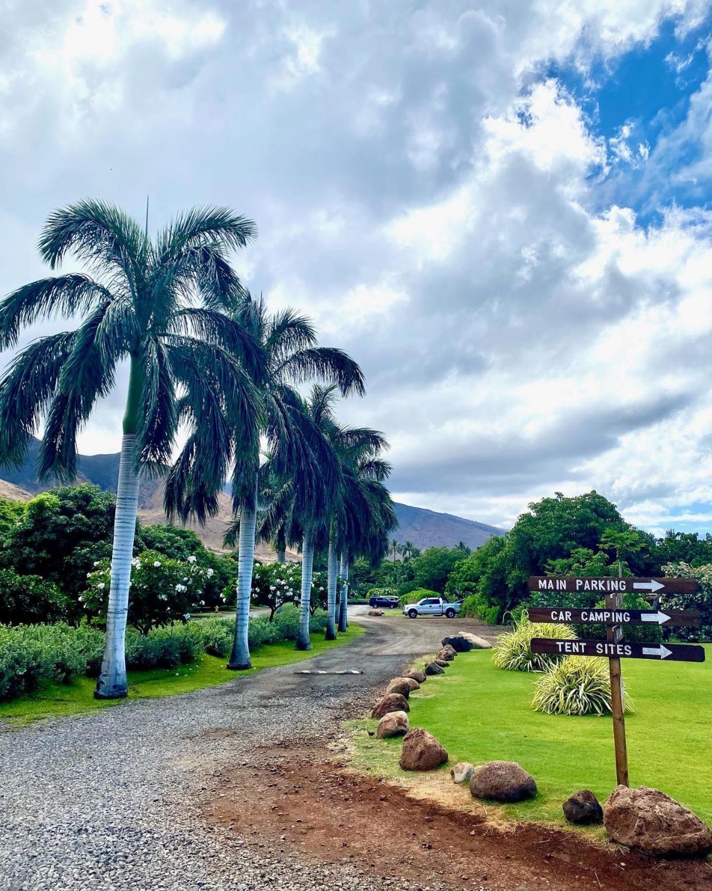 Campervan/Maui Hosted By Go Camp Maui كيهي المظهر الخارجي الصورة