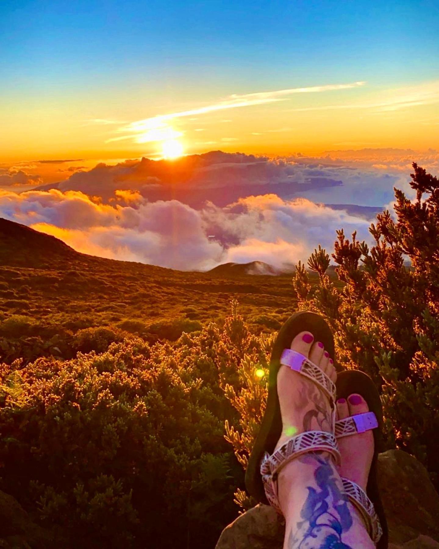 Campervan/Maui Hosted By Go Camp Maui كيهي المظهر الخارجي الصورة